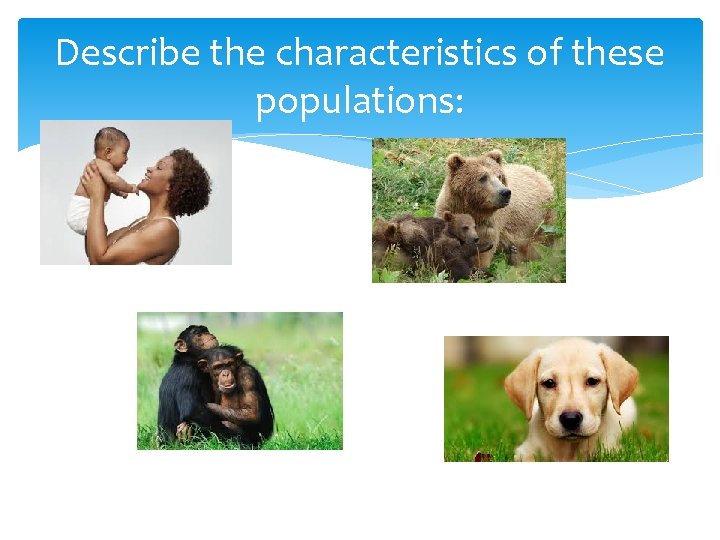 Describe the characteristics of these populations: 