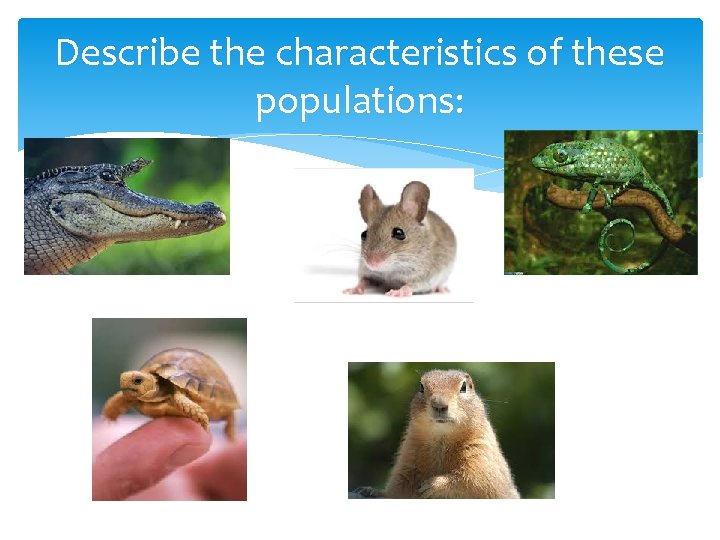 Describe the characteristics of these populations: 