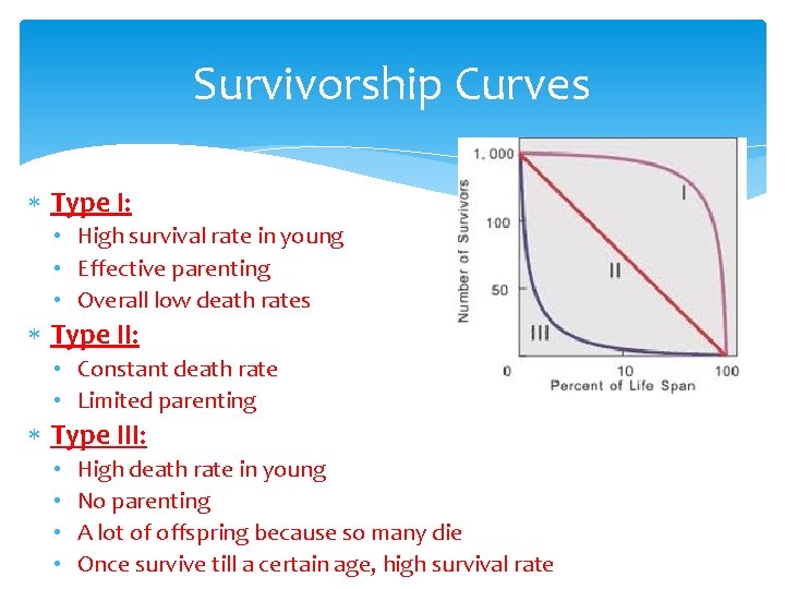 Survivorship Curves Type I: • High survival rate in young • Effective parenting •