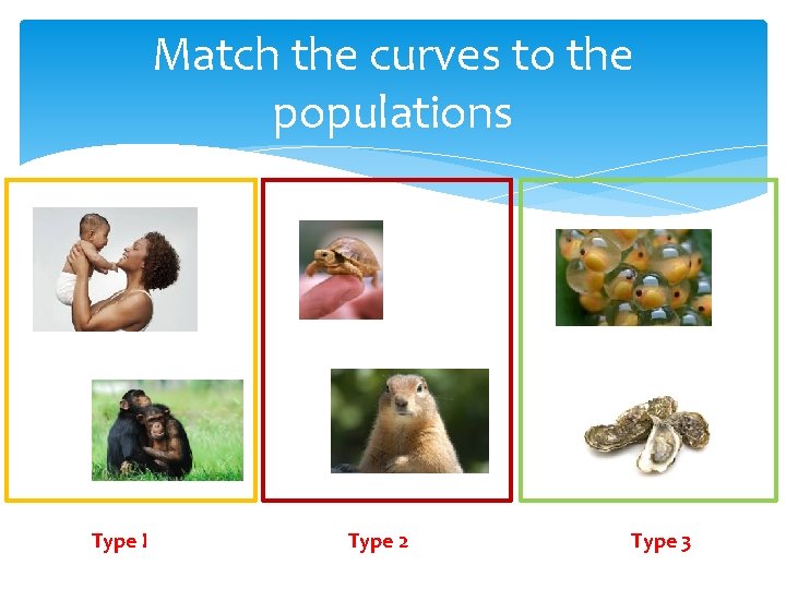 Match the curves to the populations Type I Type 2 Type 3 