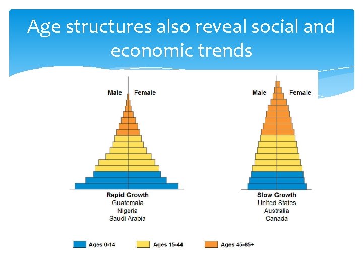 Age structures also reveal social and economic trends 