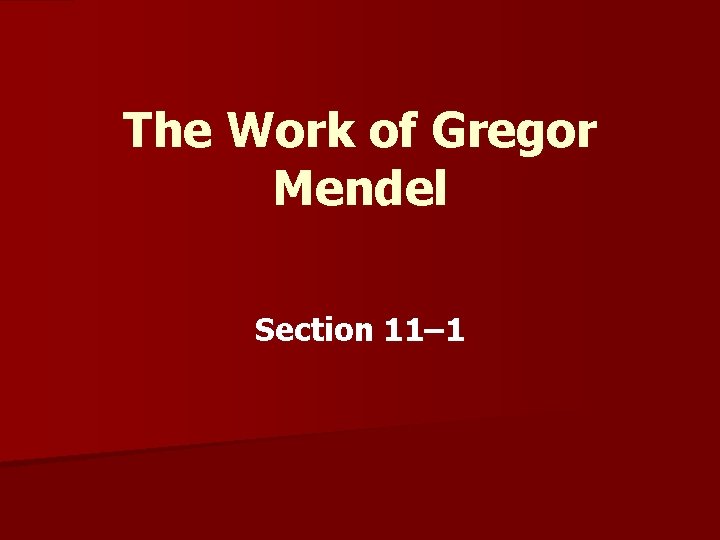 The Work of Gregor Mendel Section 11– 1 