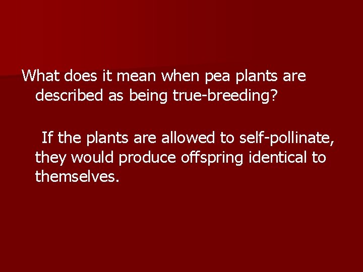 What does it mean when pea plants are described as being true-breeding? If the