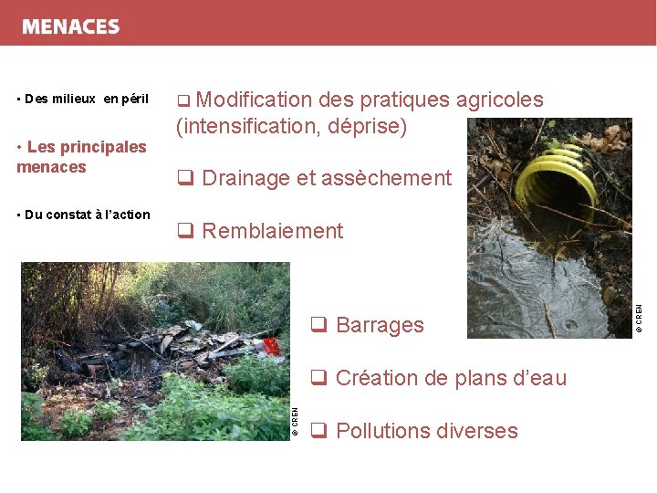  • Du constat à l’action des pratiques agricoles (intensification, déprise) q Drainage et