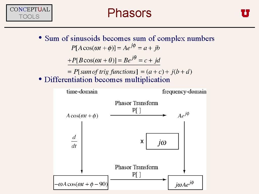 CONCEPTUAL TOOLS Phasors • Sum of sinusoids becomes sum of complex numbers • Differentiation