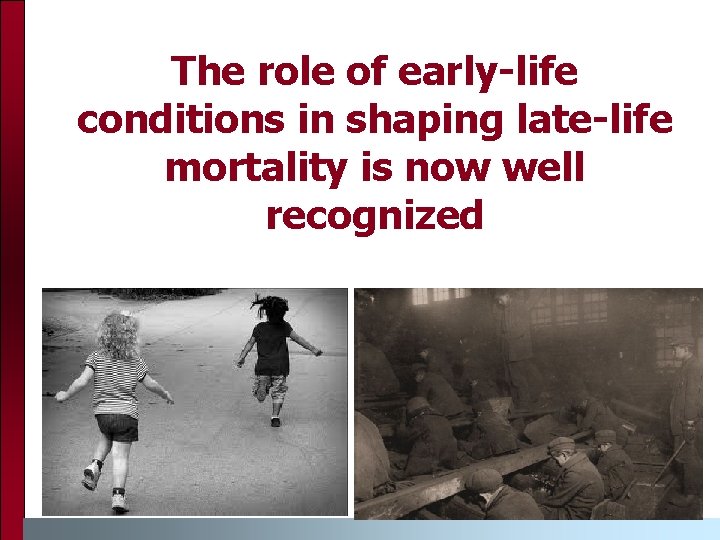 The role of early-life conditions in shaping late-life mortality is now well recognized 