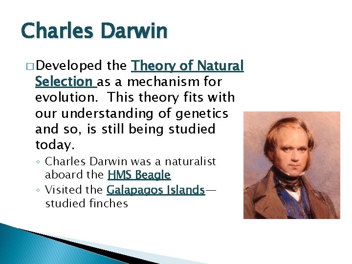 Charles Darwin � Developed the Theory of Natural Selection as a mechanism for evolution.