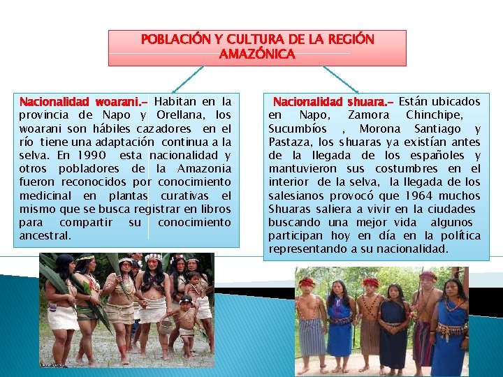 POBLACIÓN Y CULTURA DE LA REGIÓN AMAZÓNICA Nacionalidad woarani. - Habitan en la provincia