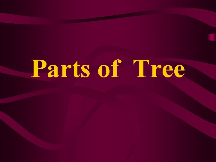 Parts of Tree 