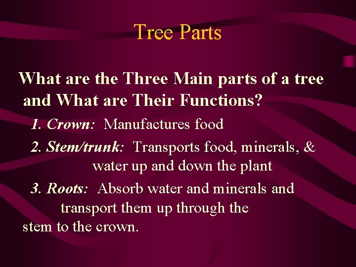 Tree Parts What are the Three Main parts of a tree and What are