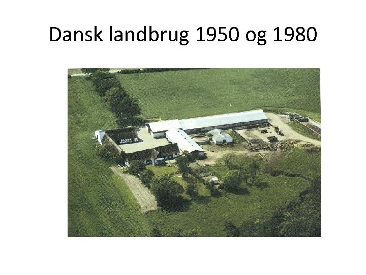 Dansk landbrug 1950 og 1980 