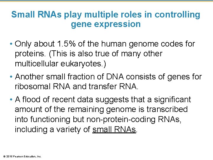 Small RNAs play multiple roles in controlling gene expression • Only about 1. 5% Small RNAs play multiple roles in controlling gene expression • Only about 1. 5%