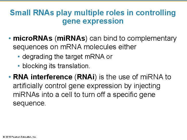 Small RNAs play multiple roles in controlling gene expression • micro. RNAs (mi. RNAs) Small RNAs play multiple roles in controlling gene expression • micro. RNAs (mi. RNAs)