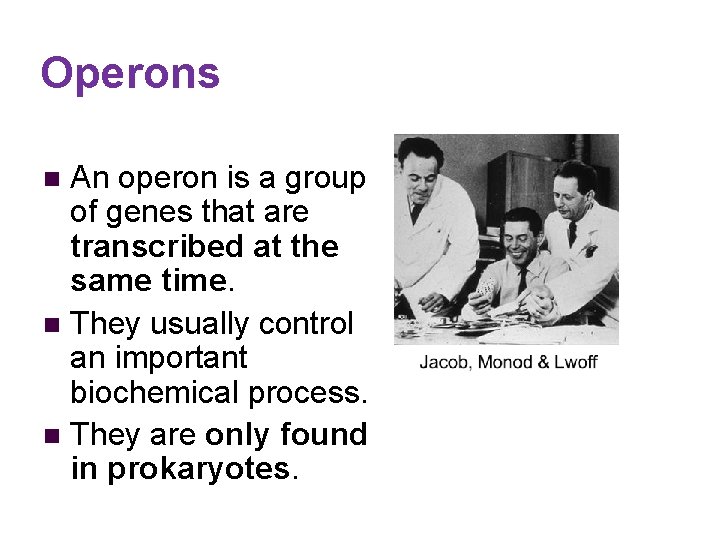 Operons An operon is a group of genes that are transcribed at the same Operons An operon is a group of genes that are transcribed at the same
