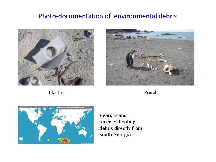 Photo-documentation of environmental debris Plastic Bonal Heard Island receives floating debris directly from South