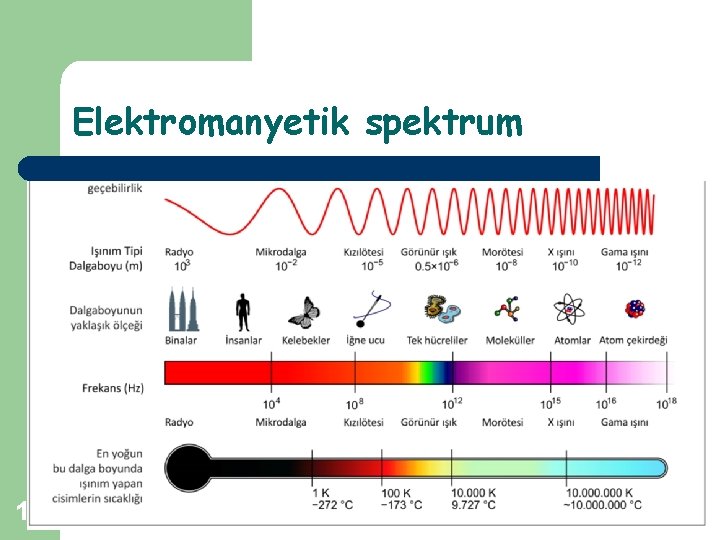 Elektromanyetik spektrum 12 