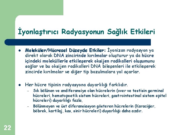 İyonlaştırıcı Radyasyonun Sağlık Etkileri l l Moleküler/Hücresel Düzeyde Etkiler: İyonizan radyasyon ya direkt olarak