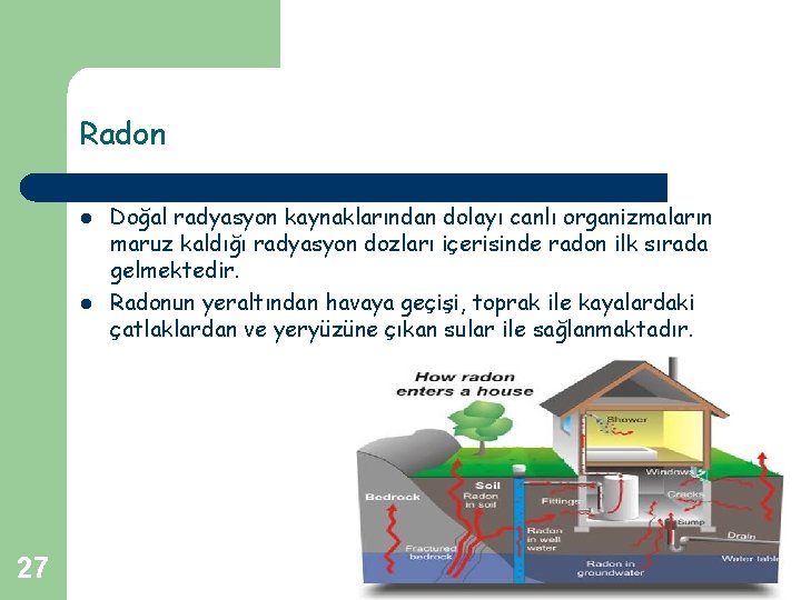 Radon l l 27 Doğal radyasyon kaynaklarından dolayı canlı organizmaların maruz kaldığı radyasyon dozları