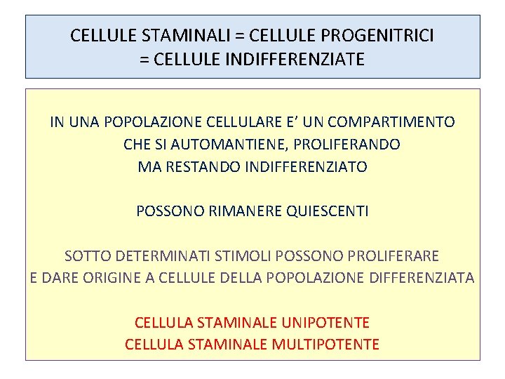 CELLULE STAMINALI = CELLULE PROGENITRICI = CELLULE INDIFFERENZIATE IN UNA POPOLAZIONE CELLULARE E’ UN