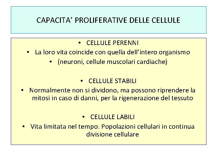 CAPACITA’ PROLIFERATIVE DELLE CELLULE • CELLULE PERENNI • La loro vita coincide con quella