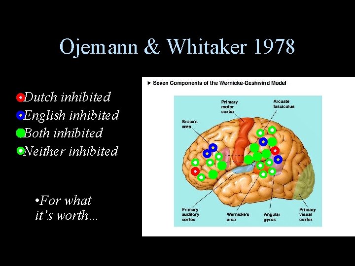 Ojemann & Whitaker 1978 • Dutch inhibited • English inhibited • Both inhibited •