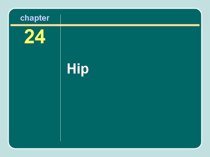 chapter 24 Hip 