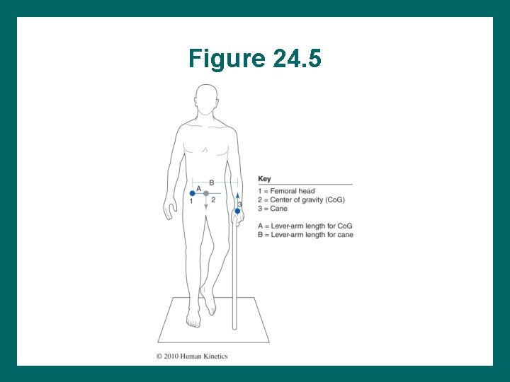 Figure 24. 5 