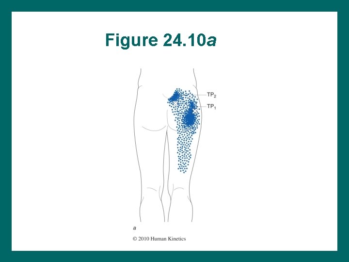 Figure 24. 10 a 