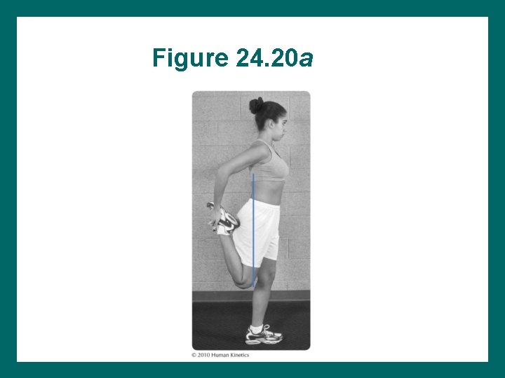 Figure 24. 20 a 