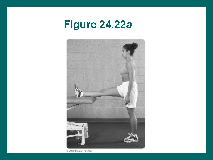 Figure 24. 22 a 