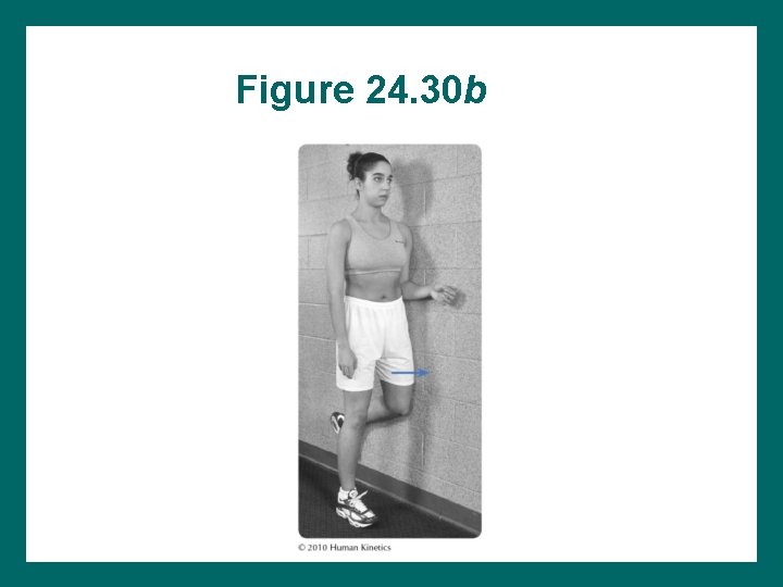 Figure 24. 30 b 