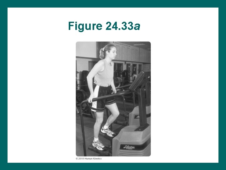 Figure 24. 33 a 