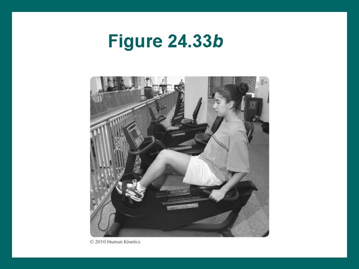 Figure 24. 33 b 