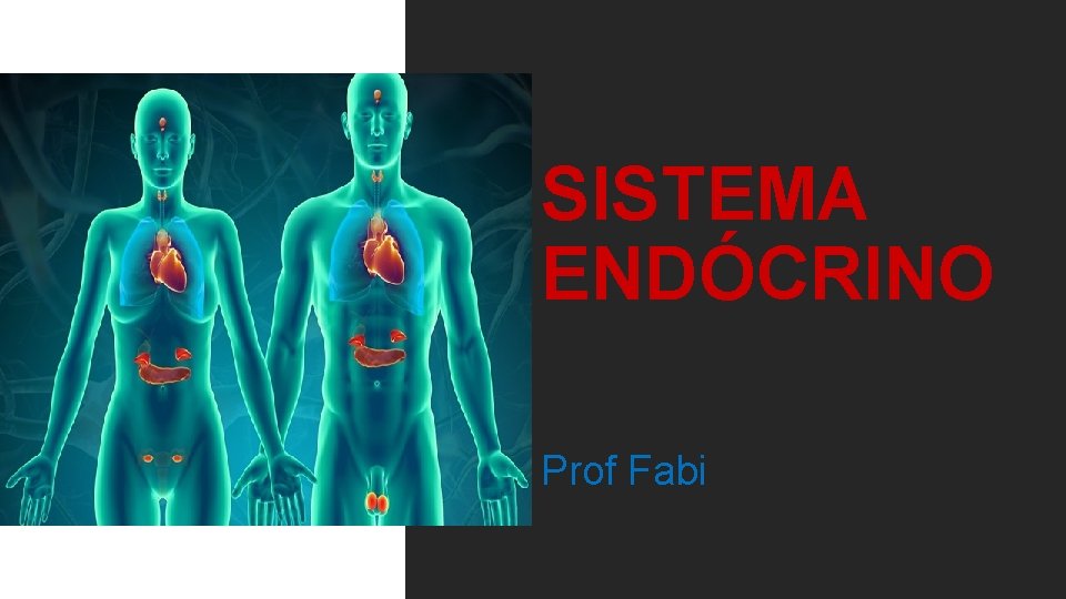 SISTEMA ENDÓCRINO Prof Fabi 