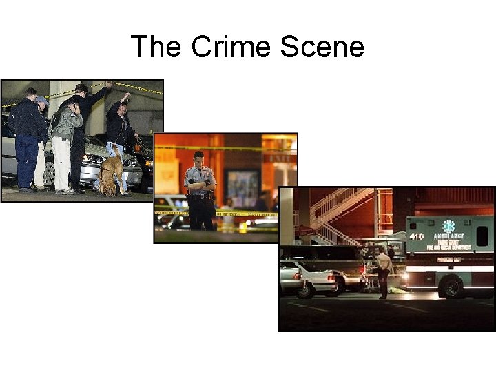 The Crime Scene 