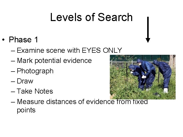 Levels of Search • Phase 1 – Examine scene with EYES ONLY – Mark