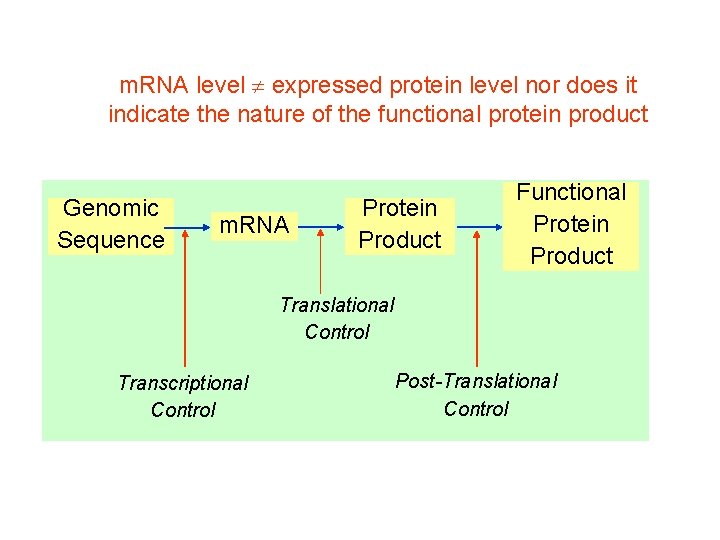 m. RNA level expressed protein level nor does it indicate the nature of the