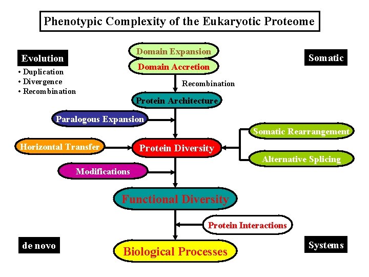 Phenotypic Complexity of the Eukaryotic Proteome Domain Expansion Evolution Somatic Domain Accretion • Duplication