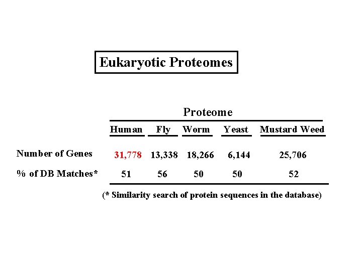 Eukaryotic Proteomes Proteome Human Number of Genes % of DB Matches* Fly Worm 31,