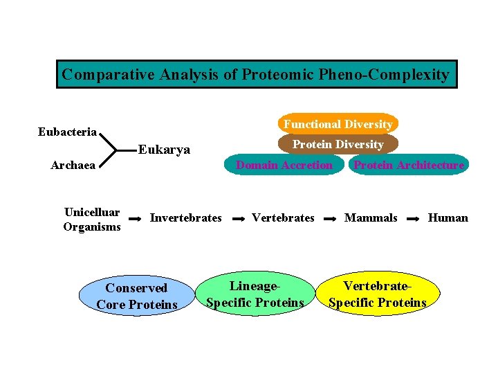 Comparative Analysis of Proteomic Pheno-Complexity Functional Diversity Eubacteria Protein Diversity Eukarya Domain Accretion Archaea