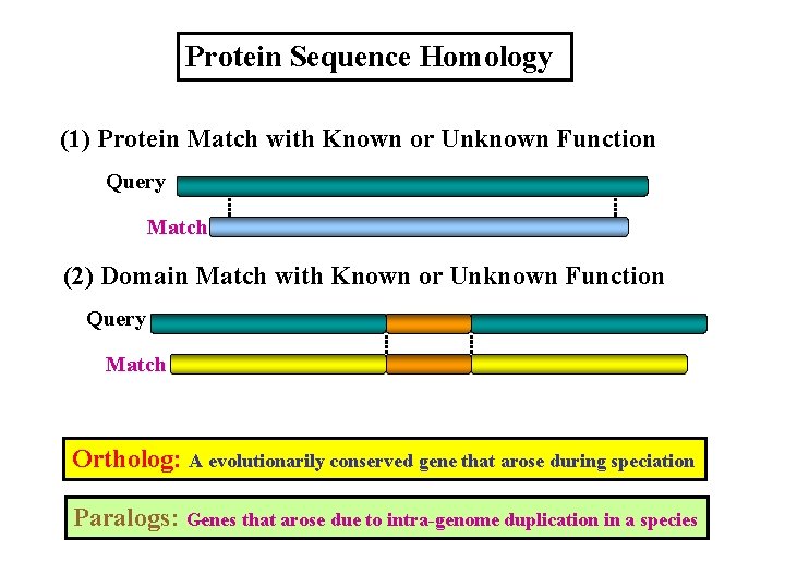 Protein Sequence Homology (1) Protein Match with Known or Unknown Function Query Match (2)