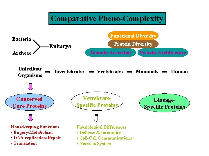 Comparative Pheno-Complexity Functional Diversity Bacteria Protein Diversity Eukarya Domain Accretion Archeae Unicelluar Organisms Invertebrates