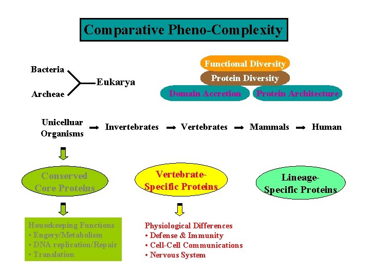 Comparative Pheno-Complexity Functional Diversity Bacteria Protein Diversity Eukarya Domain Accretion Archeae Unicelluar Organisms Invertebrates