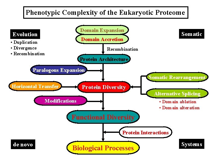 Phenotypic Complexity of the Eukaryotic Proteome Domain Expansion Evolution Somatic Domain Accretion • Duplication