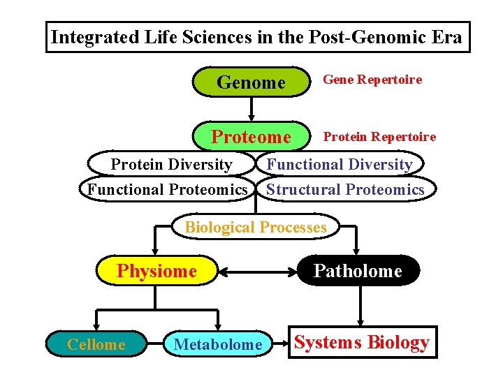 Integrated Life Sciences in the Post-Genomic Era Genome Protein Diversity Functional Proteomics Gene Repertoire