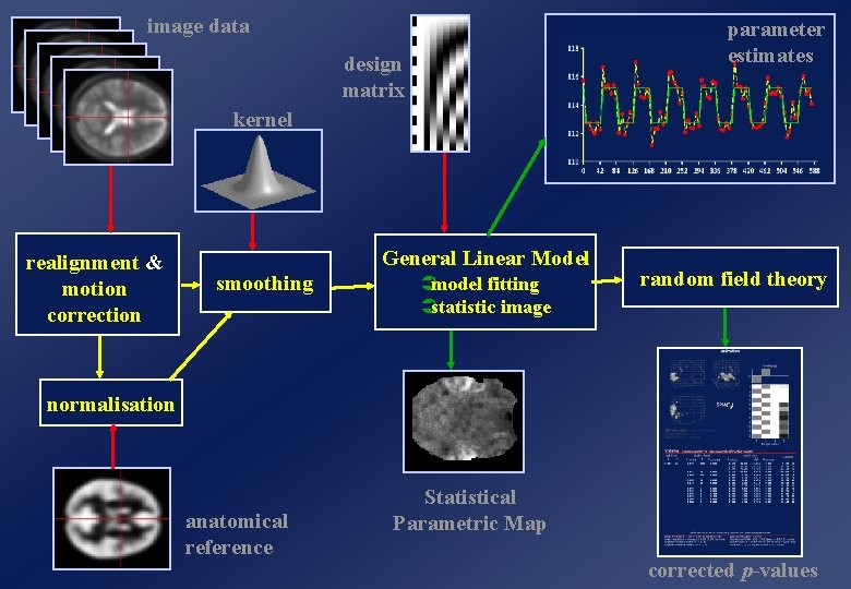 image data parameter estimates design matrix kernel realignment & motion correction General Linear Model