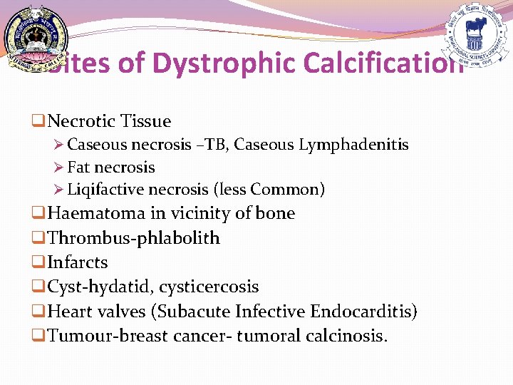 Sites of Dystrophic Calcification q. Necrotic Tissue Ø Caseous necrosis –TB, Caseous Lymphadenitis Ø