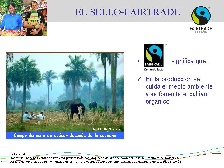 EL SELLO-FAIRTRADE • significa que: ü En la producción se cuida el medio ambiente