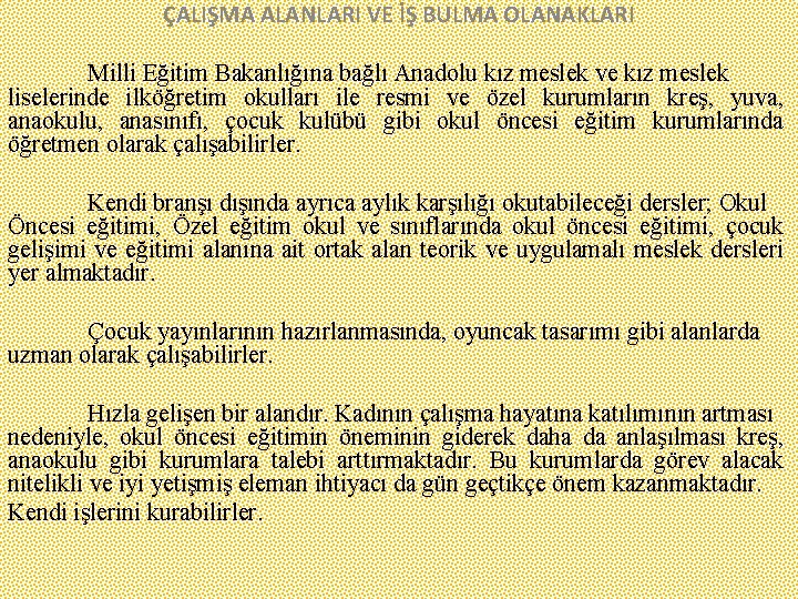 ÇALIŞMA ALANLARI VE İŞ BULMA OLANAKLARI Milli Eğitim Bakanlığına bağlı Anadolu kız meslek ve