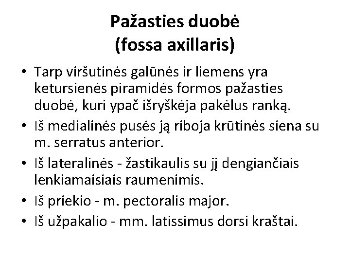 Pažasties duobė (fossa axillaris) • Tarp viršutinės galūnės ir liemens yra ketursienės piramidės formos